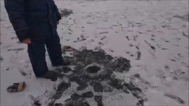Обеденные поимки форели со льда. Рыбалка продолжается...Клёвое место, д. Савельево смотреть онлайн