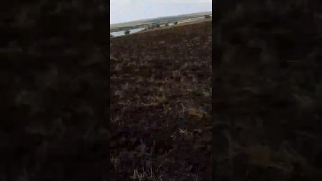 пахота на т 150 к ямз 236 смотреть онлайн