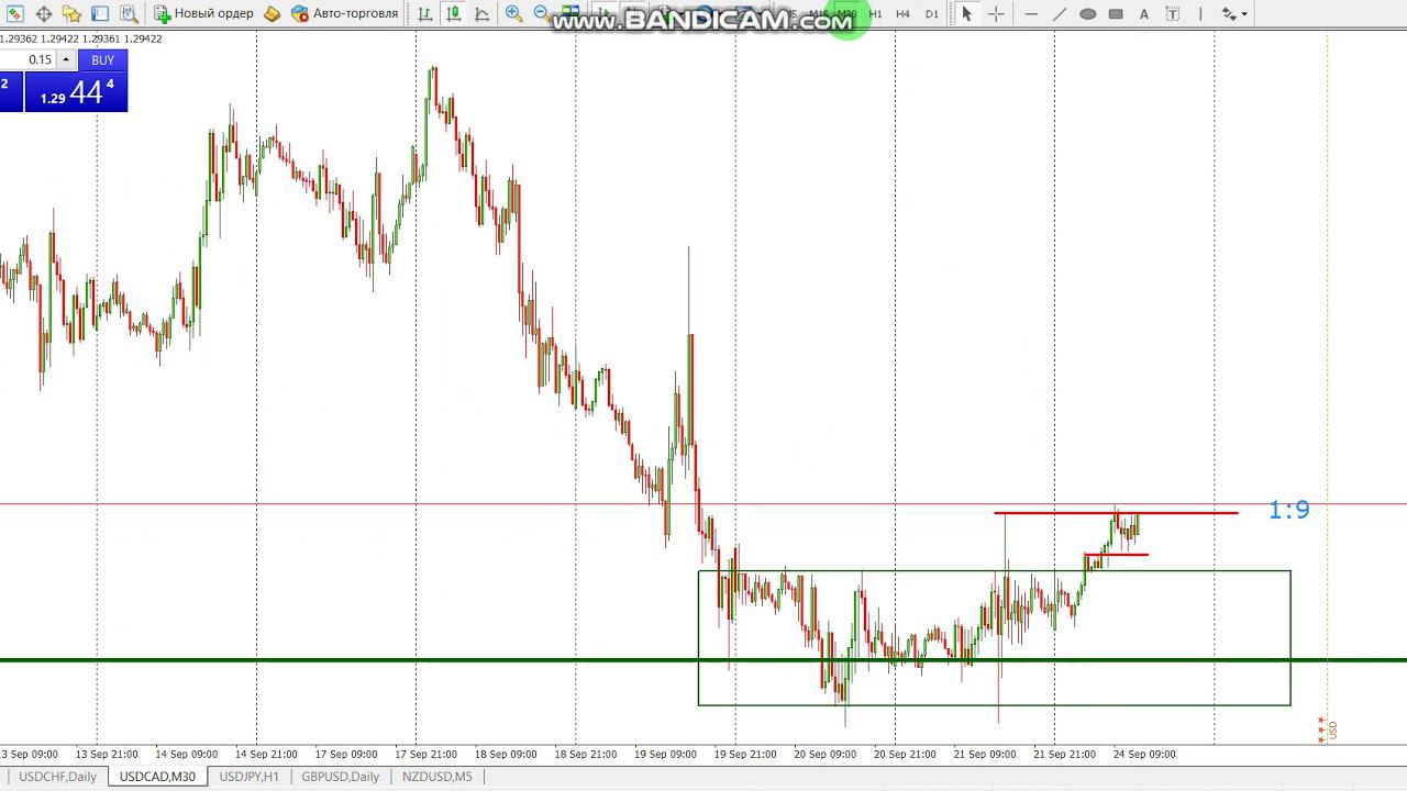 Трейдинг обучение на Форекс