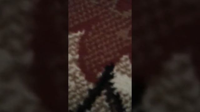 Карточки морта комбат смотреть онлайн