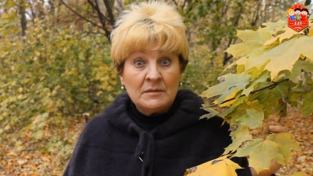 Задание "Зимующие птицы". "Мир вокруг нас" смотреть онлайн