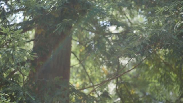 Deep Breathing Meditation to Recharge & Restore in Inner Stillness | 20 Min смотреть онлайн