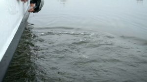 Laker 410 лодка для рыбалки в любых условиях