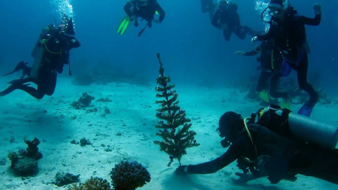 Underwater New Year 2013 смотреть онлайн