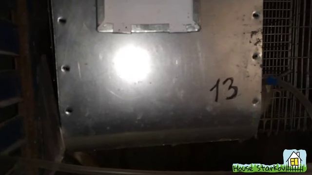 Новый курятник из старого садового домика. ?? смотреть онлайн