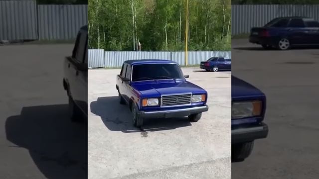 Один из самых красивых цветов на ваз 2107 мускари? смотреть онлайн