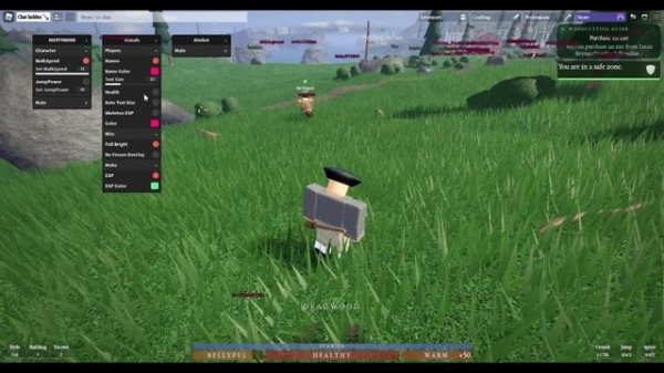 Roblox NORTHWIND Script - ESP All | Aimbot | Inf Stamina & More 2022