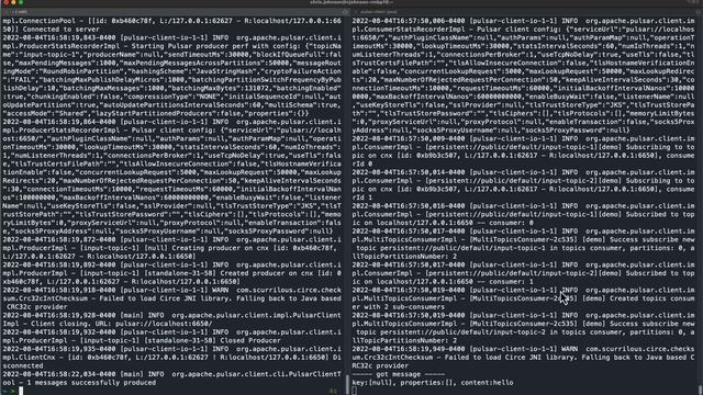 5 Minutes About Pulsar | Multi-Topic Processing with Java Functions смотреть онлайн