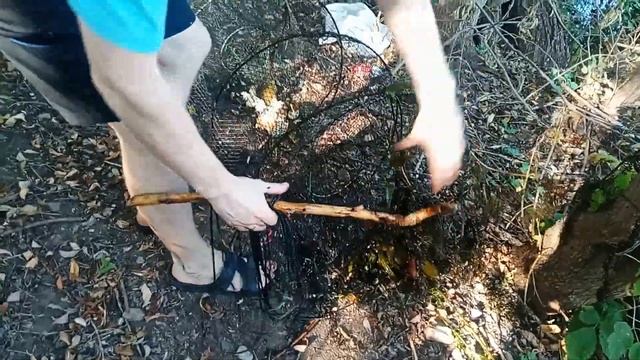 линь и сом на вершу смотреть онлайн