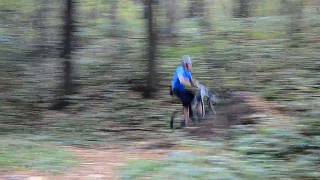 Орехово овраг