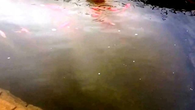 Искусственный пруд с ручьём и декоративным водопадом смотреть онлайн