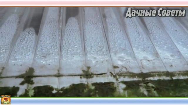 ВОТ ПОЧЕМУ этой осенью мы СНЕСЛИ ТЕПЛИЦУ из поликарбоната и строим новую Моя ДАЧНАЯ ИСТОРИЯ смотреть онлайн