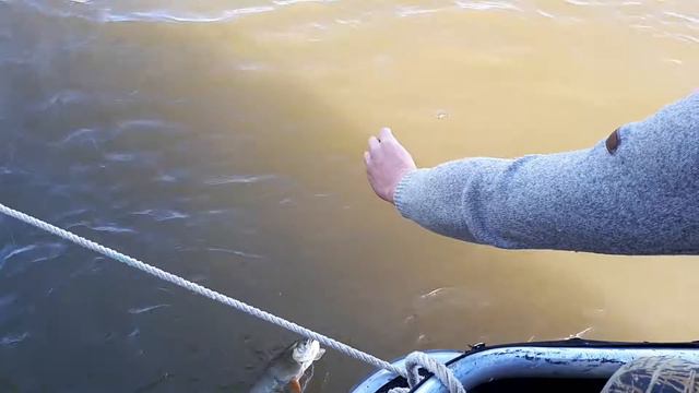 Через с носа корабля. Астрахань октябрь 2017 смотреть онлайн