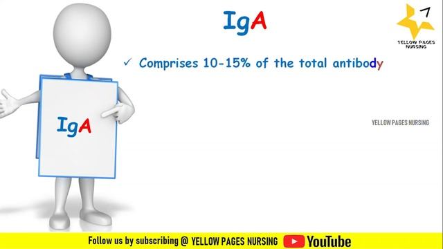 Antibody (Ab) Or Immunoglobulin (Ig) | IgG, IgA, IgM, IgE, IgD