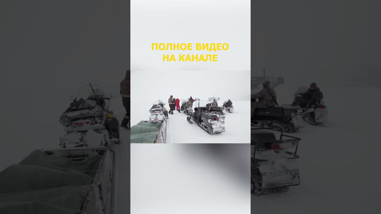 14. Остров Сенгейский Дыхание Арктики Малоземельская тундра смотреть онлайн