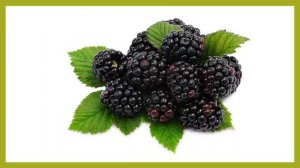 Дидактическая игра " Съедобные-несъедобные ягоды"