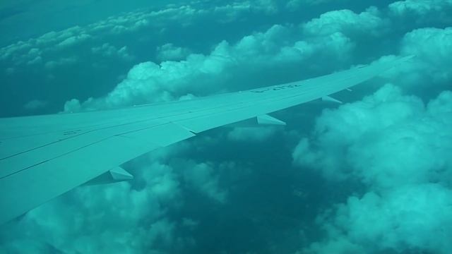 Shanghai - Guangzhou with Boeing 787-8 Dreamliner (China Southern Airlines) смотреть онлайн