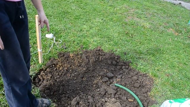 ВИНОГРАД. Виноград который посадили мы смотреть онлайн