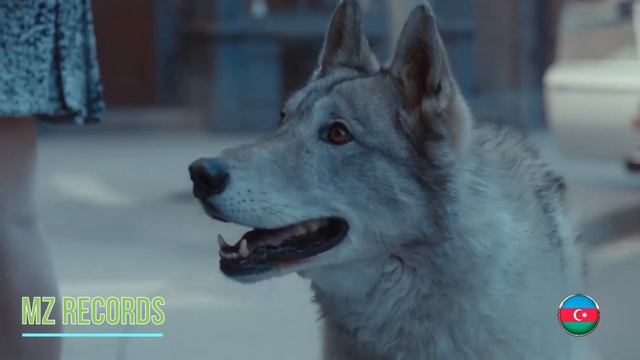 💘💘💘 Paul Lock - What You Do - (music video) Deep House | Pop Music смотреть онлайн