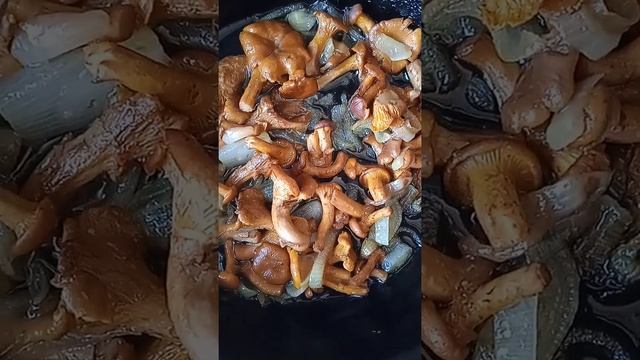 Идеи и Вдохновение для Дизайна Интерьера