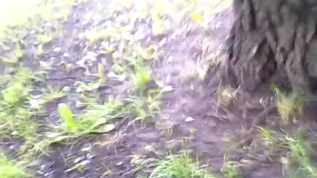 Поход на озеро 3 смотреть онлайн