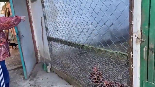 23.02.23. Получил неожиданный подарок. смотреть онлайн