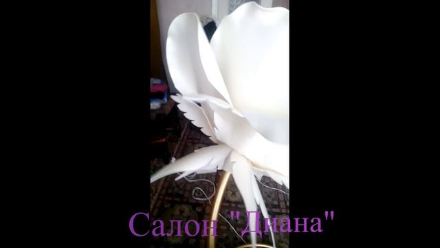 Роза ночник смотреть онлайн
