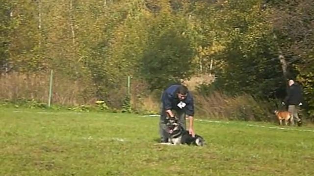 МВ Тристан, БР смотреть онлайн