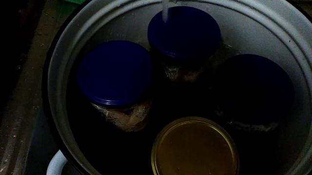 Супер лёгкий способ сварить рыбные консервы в домашних условиях ! смотреть онлайн