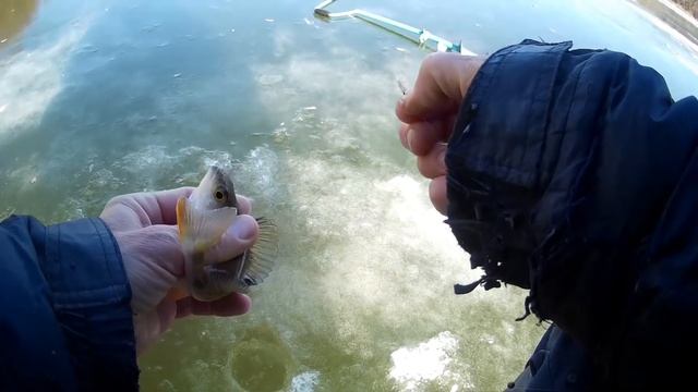 Зимняя рыбалка на БАЛДУ и КАЛЧУДО. Рыбалка на ОКЕ в феврале 2020. смотреть онлайн