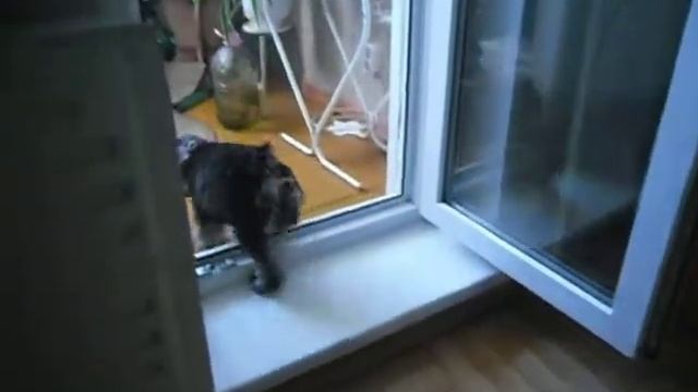 Цверг Фаня смотреть онлайн