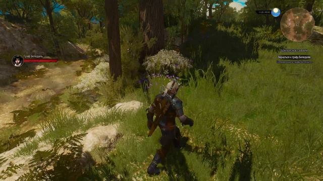 Боклерское сафари ► Ведьмак 3 Кровь и вино