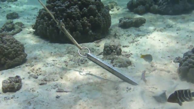 Bad companies who destroy coral in Phuket смотреть онлайн