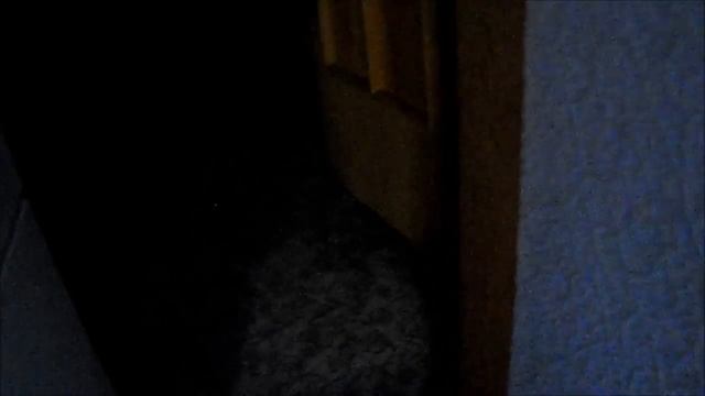 Салат Огонёк | Irina Belaja смотреть онлайн