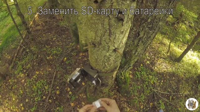 Проверка фотоловушек в поле смотреть онлайн