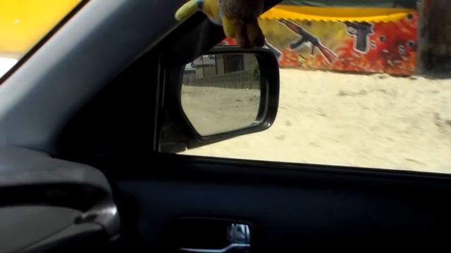 Кирилловка . Федотова коса . Свободные номера . Пока всё тихо и безлюдно . 10 июня 20 г. смотреть онлайн