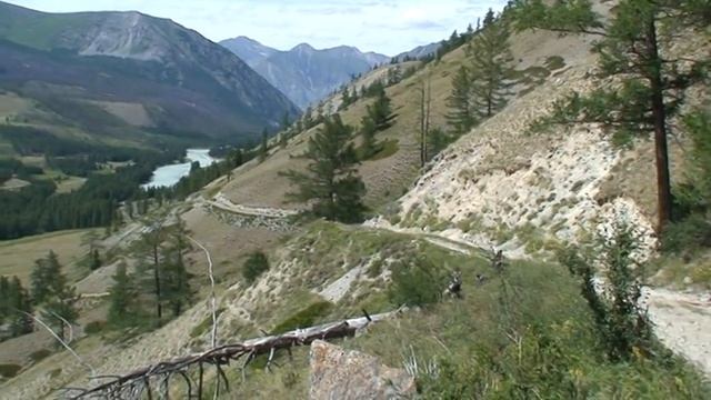 приключения на Аргуте и Коксу смотреть онлайн
