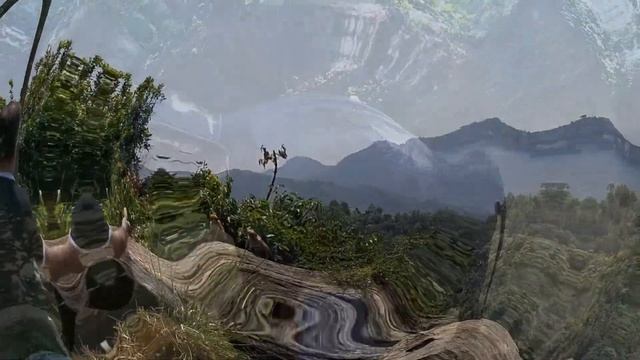 Моя любимая жена мечтала провести свой день рождения на Шри Ланке. смотреть онлайн