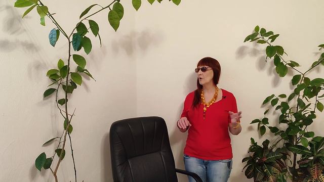 Инструкция по созданию reels от самой Meta. Теперь не нужны курсы? смотреть онлайн