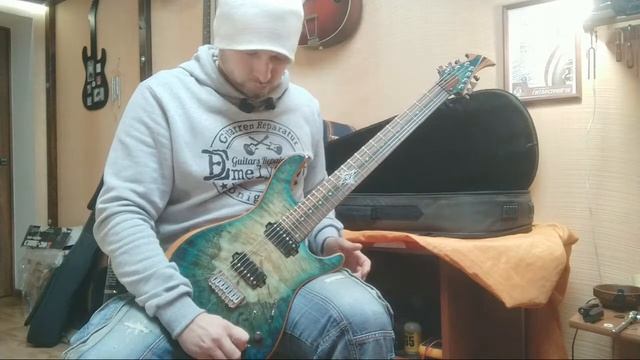 Pilgrim Гитара Дмитрия Позныша