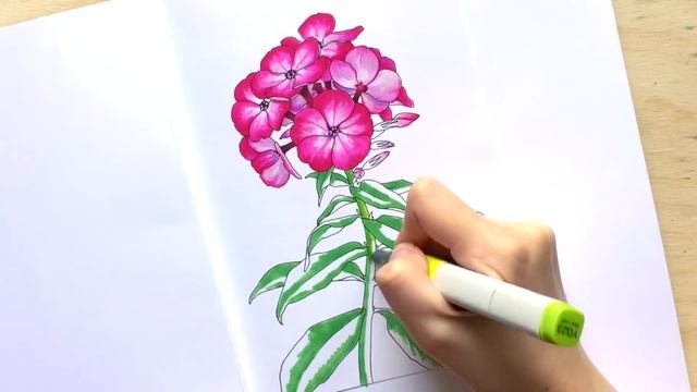 Copic markers speed drawing #5 / Рисую маркерами Copic красивый цветок смотреть онлайн