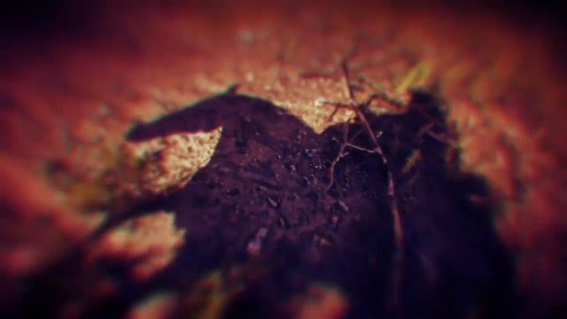 Red Dead Redemption 2 - Блаженны миротворцы ( золото ) смотреть онлайн