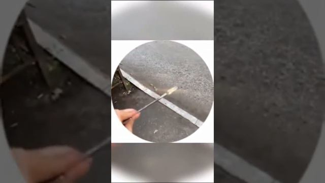 Миля такая сладенькая🥺❤️ смотреть онлайн