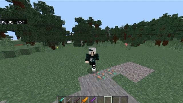 SAIIIUUU !!! ADDON DE BLOQUEIO COM ESPADA ! ! ! ( igual ao Java ) || Mcpe 1.19.63 #mcpe #addon смотреть онлайн