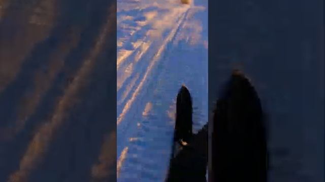 skidoo first test drive смотреть онлайн