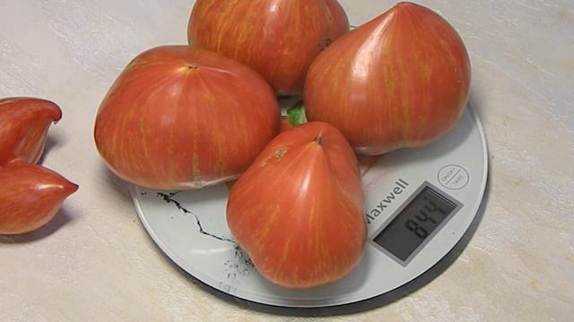 Томат Crushed Heart (Разбитое сердце) (Влюбленное сердце) смотреть онлайн