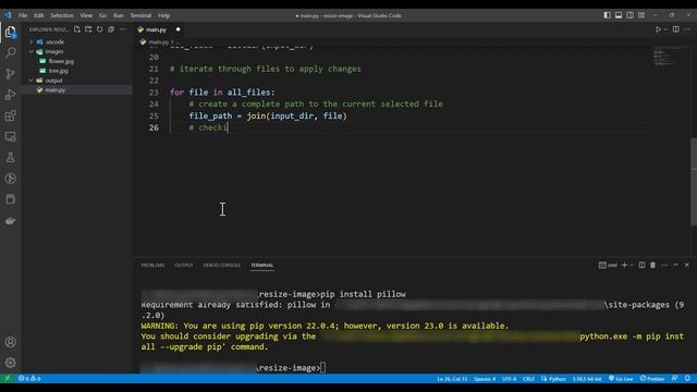 Resize Images using Pillow (PIL) library in Python смотреть онлайн