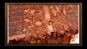 Система для очистки глинистого раствора KOSUN (Система разделения глинистой воды TBM)