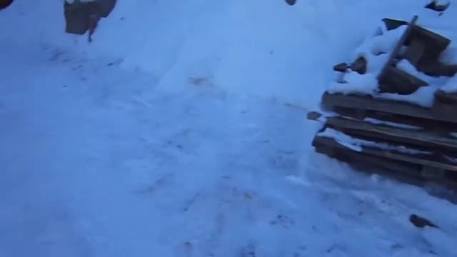 Колода для пчёл своими руками смотреть онлайн