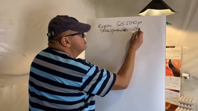 Бизнес в деревне. Перепелиная ферма. Бизнес план. МОИ перепела смотреть онлайн